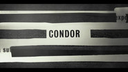 Backdrop of Condor image size 1920x1080