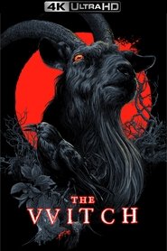 Poster of The Witch image size 1000x1500