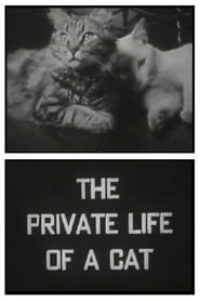 The Private Life of a Cat