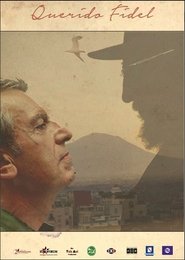 poster Querido Fidel