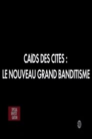 poster Caïds des cités: Le nouveau grand banditisme