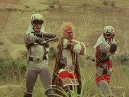The Cruel Ape Hunt