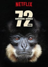 72 animaux dangereux en Asie streaming