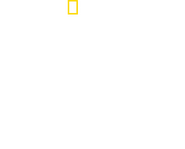 Logo of Das Reich: Hitler's Death Squads image size 1594x1285