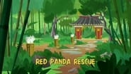 Wild Kratts season 4 episode 11