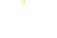 Logo of David Blaine Do Not Attempt image size 1622x1075