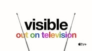 Visible : Out on Television  