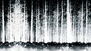 Le Projet Blair Witch wallpaper 