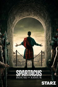 Poster of Spartacus: House of Ashur image size 2000x3000