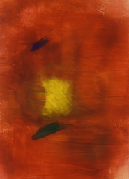 The sun and her flower