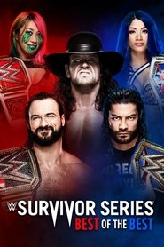 poster WWE Survivor Series 2020