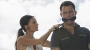 Burn Notice season 7 episode 10