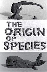 poster Clay or The Origin of Species