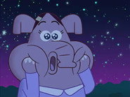 The Mooncat
