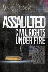 Assaulted: Civil Rights Under Fire 2013 123movies