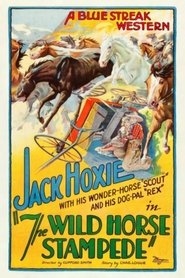 poster The Wild Horse Stampede