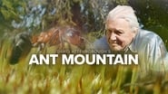 David Attenborough's Ant Mountain wallpaper 