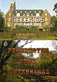 Pepernoten voor Sinterklaas