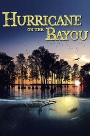 Poster of Hurricane on the Bayou image size 960x1440