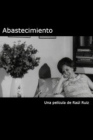 Abastecimiento poster