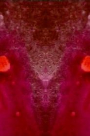 Estudio En Rojo