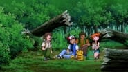 Pokémon 4Ever : Célébi, la voix de la forêt wallpaper 