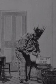 poster The Indian Chief and the Seidlitz Powder