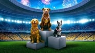 Puppy Bowl Presents: The Summer Games wallpaper 