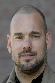 Photo of Wesley Sneijder image size 400x600