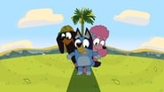 Bluey season 1 episode 5