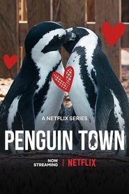 Poster of Penguin Town image size 500x750