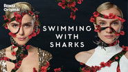 Backdrop of Swimming with Sharks image size 1280x720
