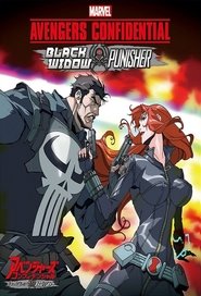 Poster of Avengers Confidential: Black Widow & Punisher image size 680x1000