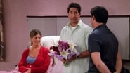 Friends season 9 episode 1