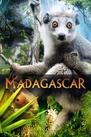 poster Madagascar 3D