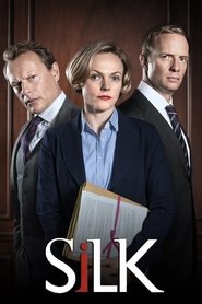 Poster of Silk image size 1000x1500