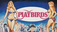 The Playbirds wallpaper 