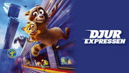 Falcon Express wallpaper 
