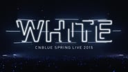 CNBLUE SPRING LIVE 2015 ‐WHITE‐ wallpaper 