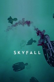 Poster of Skyfall image size 1000x1500