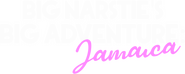 Logo of Big Narstie's Big Jamaica image size 1274x509