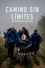 poster The Way Without Limits