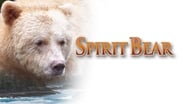 Spirit Bear: The Simon Jackson Story wallpaper 