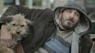 Voir La fois où il a travaillé avec Fififty Cent en streaming VF sur StreamizSeries.com | Serie streaming