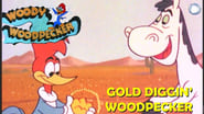 Gold Diggin' Woodpecker wallpaper 