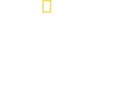Logo of Snake City image size 1599x1298