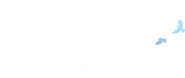 Logo of The White Olive Tree image size 512x215