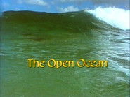 The Open Ocean