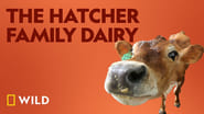 The Hatcher Family Dairy  