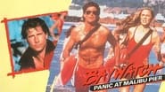 Baywatch: Panic at Malibu Pier wallpaper 